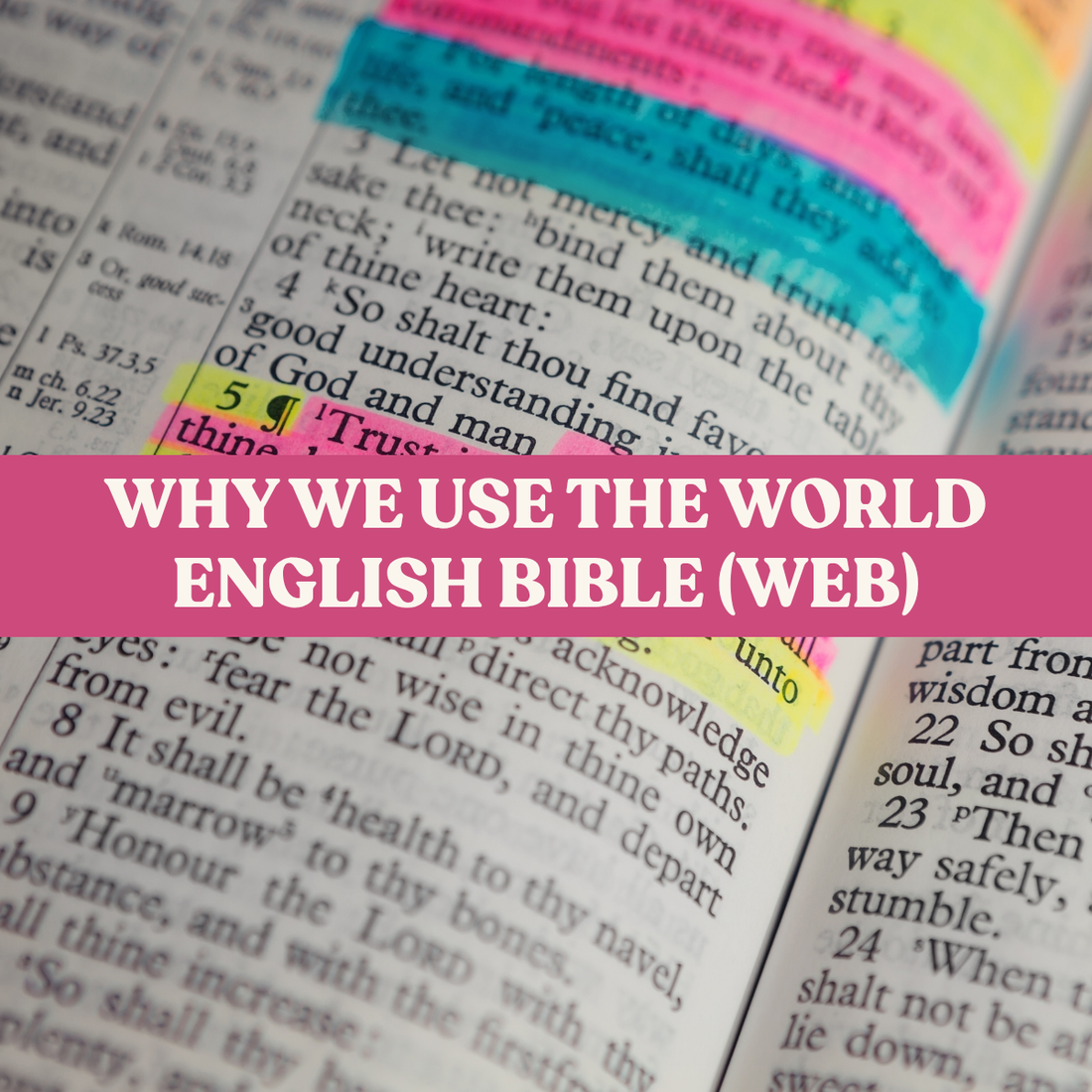 Why We Use the World English Bible